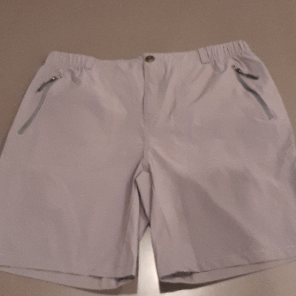 Pudolla Gray Shorts